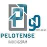 rádio pelotense am