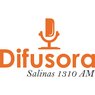 rádio difusora de salinas am