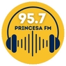 Rádio Princesa FM Lages