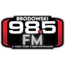 Rádio 98,5 FM