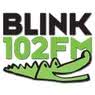 rádio blink 102 fm