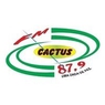 rádio cactus fm