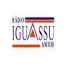 rádio iguassu am