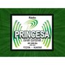 Rádio Princesa das Matas AM