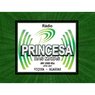 rádio princesa das matas am