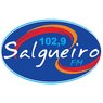 rádio salgueiro fm