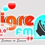 Rádio Tigre FM