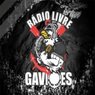 Rádio Livre Gaviões