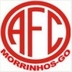 Escudo do América de Morrinhos