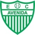 Escudo do Avenida