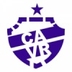 Escudo do Vila Rica