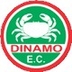 Escudo do Dínamo