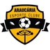 Escudo do Araucária