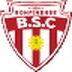 Escudo do Botafogo (BA)