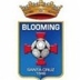 Escudo do Blooming (BOL)