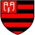 Escudo do AA Flamengo (SP)