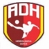 Escudo do Hidrolandense