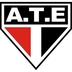 Escudo do Tupy