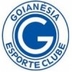 Escudo do Goianésia