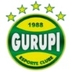 Escudo do Gurupi
