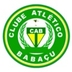 Escudo do Babaçu