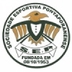 Escudo do Pontaporanense