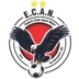 Escudo do Águia Negra (MS)