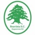 Escudo do Boavista