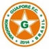 Escudo do Guaporé