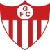 Escudo do Guarany Bagé