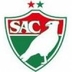 Escudo do Salgueiro