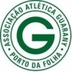 Escudo do Guarany