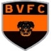 Escudo do Bela Vista (TO)