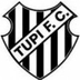 Escudo do Tupi