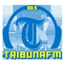 rádio tribuna fm